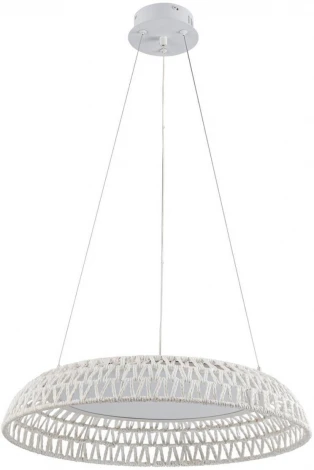 Подвесной светильник LED F-Promo Conrad 4751-5P (220V, на тросе)