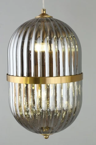 Подвесной светильник Aployt Ludovica APL.860.06.30 (220V, на проводе, круглые)