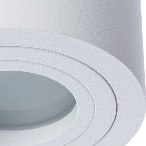 Потолочный светильник круглый Divinare Galopin 1460/03 PL-1 (220V, IP44)