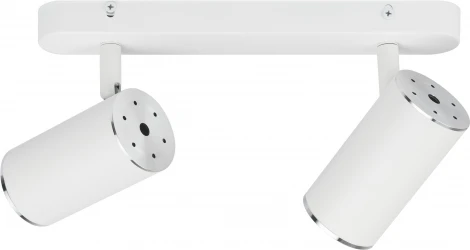 Спот ЭРА OL35-2 WH (220V)
