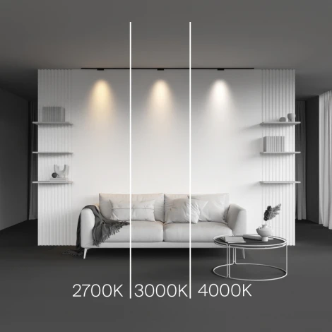 Трековый светильник магнитный 5W 24V Maytoni Points TR193-1-5W2.7K-M-B (LED)