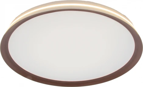 Потолочный светильник круглый светодиодный с пультом и регулировкой цветовой температуры Mizi'en Titan MZ31502-430 (220V, круглые)