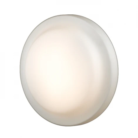 Настенно-потолочный светильник Odeon Light Tavoy 2760/3C