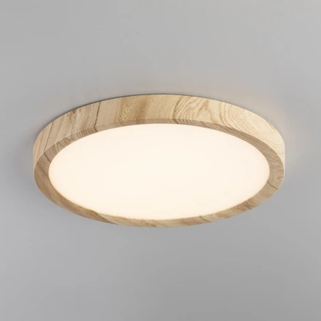 Настенно-потолочный светильник Citilux Бейсик CL738182V (регулировка яркости, LED, 220V, круглые, IP40)