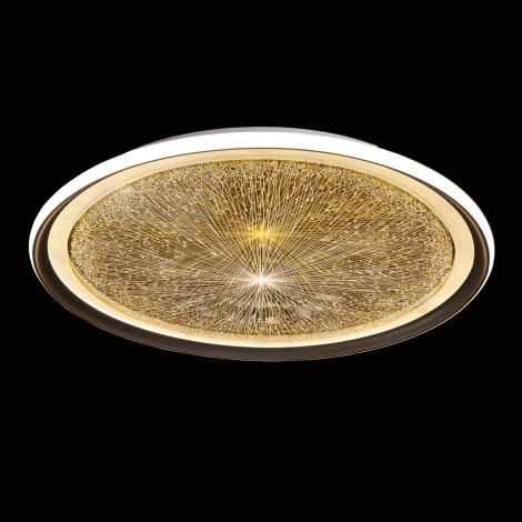 Потолочная люстра DeMarkt Норден 660014101 (LED, 220V, пульт управления, круглые)