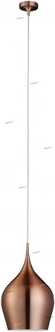 Подвесной светильник Arte Lamp Vibrant A6426SP-1BZ