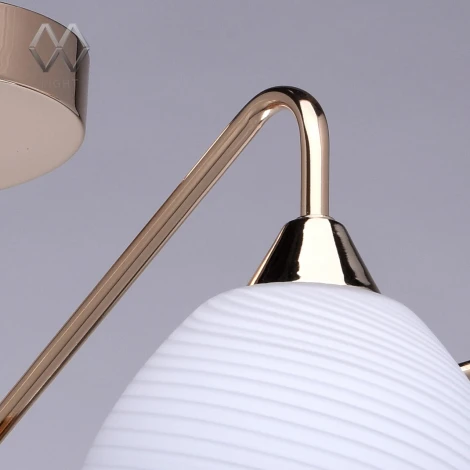 Потолочная люстра MW-Light Николь 364014105