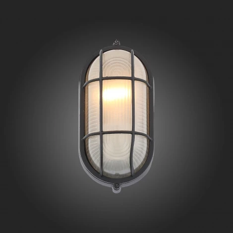 Настенный светильник уличный ST Luce Vecchio SL075.411.01