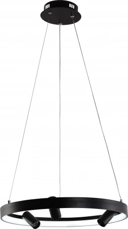 Подвесной светильник со спотами Rivoli Selena 6147-101 (регулировка яркости, LED, 220V, пульт управления, на тросе, круглые)