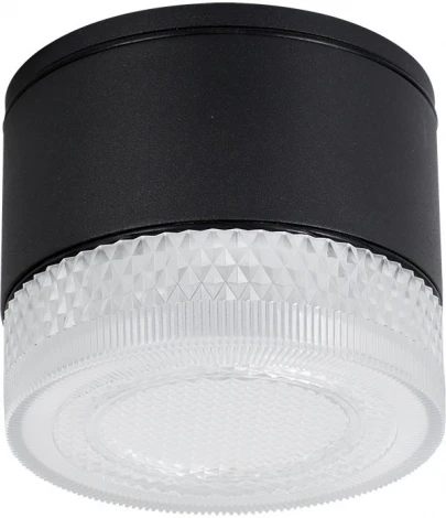 Потолочный светильник уличный Arte Lamp Piautos A1926PF-1BK