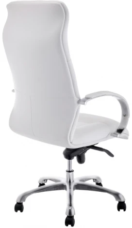 Компьютерное кресло Woodville Osiris white / satin chrome 15425