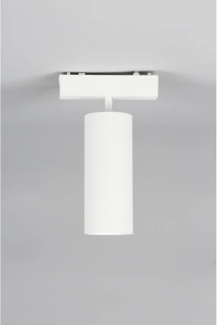 Светильник трековый магнитный 48V Aployt Magnetic track 48 APL.0114.10.18 (LED, круглые)