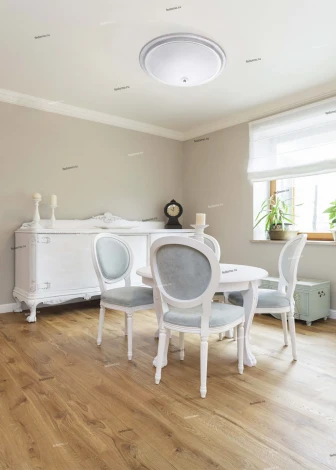 Потолочный светильник MW-Light Ариадна 450013505