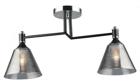 Потолочная люстра Wedo Light Anneta WD3619/2C-BK-CR-SMK