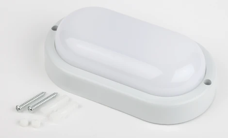 Настенно-потолочный светильник светодиодный ЭРА SPB-202-0-40K-008 (220V, IP65)