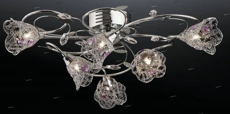 Потолочная люстра Odeon Light Acona 2234/6C
