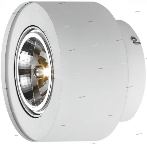 Потолочный светильник Arte Lamp Cliff A5643PL-1WH