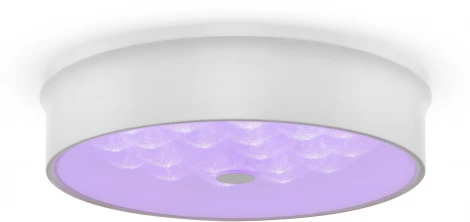 Потолочный светильник Freya Cells FR10011CL-L24W
