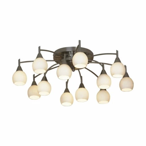 Потолочная люстра Lussole Pitigliano LSC-2607-12