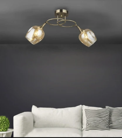 Потолочная люстра Wedo Light Krodo 66665.01.05.02