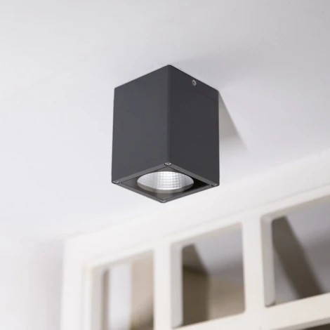 Потолочный светильник уличный светодиодный IP65 Natural Concepts Dwell NC-133474-DG (220V)