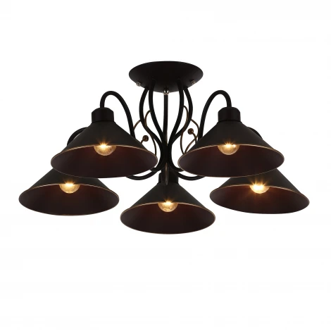 Потолочная люстра Evoluce Ciolla SLE120402-05 (220V)