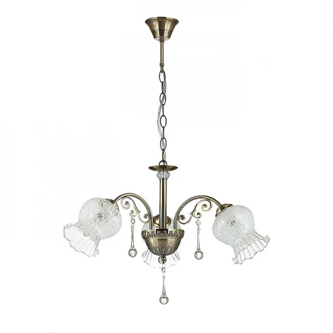 Подвесная люстра Lumion Camelia 3093/3