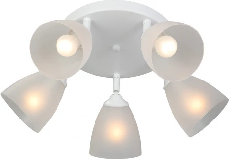 Потолочная люстра Vitaluce V4355-0/5PL (220V)