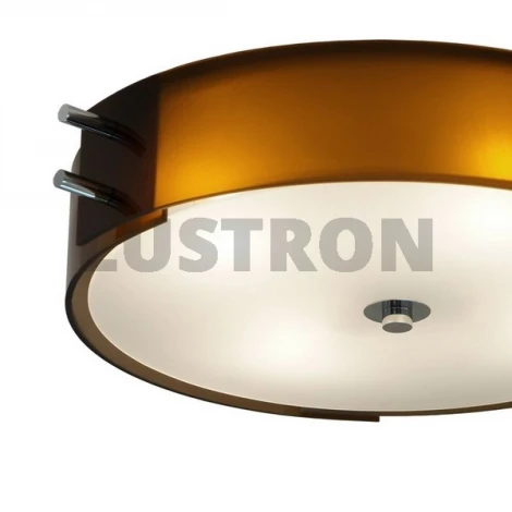 Потолочный светильник ST Luce SL484 SL484.702.04