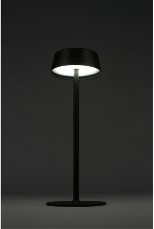 Настольная лампа светодиодная Omnilux OML-40504-01 (220V, гриб)