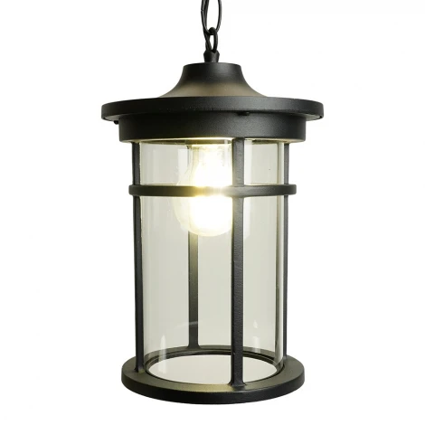 Уличный светильник подвесной Feron Турин 51819