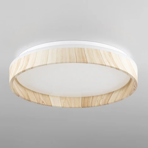 Потолочный светильник RGB круглый светодиодный с пультом Citilux Enzo CL753352G (220V, круглые)