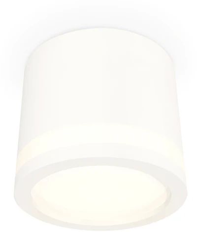 Накладной точечный светильник Ambrella Techno Spot XS8110003 (220V, круглые)
