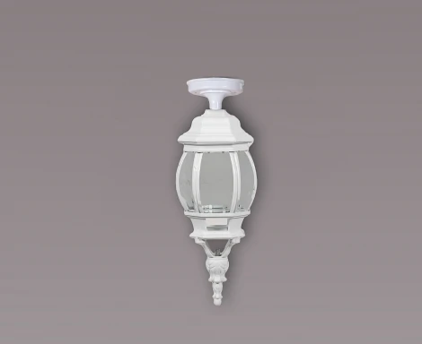 Потолочный светильник уличный Oasis Light AMERICA S 83405SA W