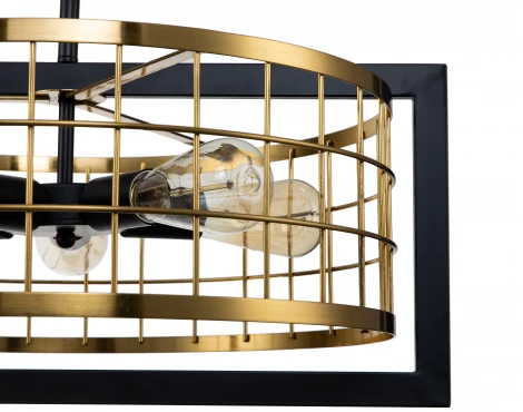 Люстра подвесная Era V000068 (10003/5P Black) (220V, на цепи)