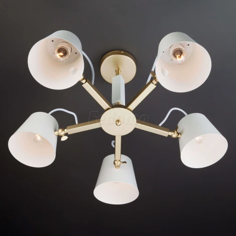 Потолочная люстра Eurosvet Frozen 70083/5 золото