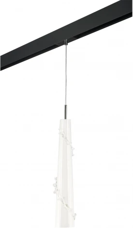 Трековый светильник однофазный 220V Lightstar Petalo PRO804310