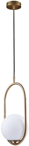 Подвесной светильник Loft IT Glob LOFT2595-A (220V, на проводе, шар)