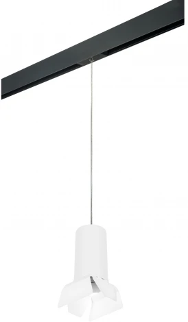 Трековый светильник однофазный 220V Lightstar Rullo PRORP6486486