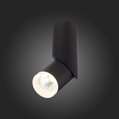 Накладной точечный светильник ST Luce Tortelle ST107.442.10