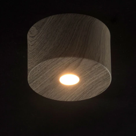 Потолочный светильник круглый DeMarkt Иланг 712010201 (LED, 220V)