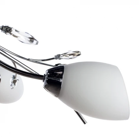 Потолочная люстра Arte Lamp Gardenia A2766PL-5CC