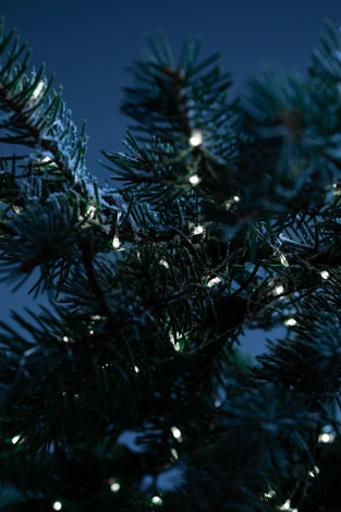 Садовая гирлянда светодиодная на солнечной батарее Нить холодный свет 21,9 м ЭРА ERASF22-17