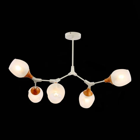 Потолочная люстра на штанге Evoluce Ciotolla SLE113502-05 (220V, шарики)