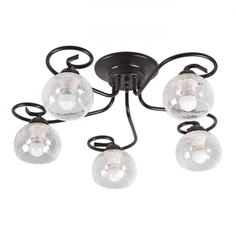 Люстра потолочная Day&Night, 5 плафонов, черный с прозрачным