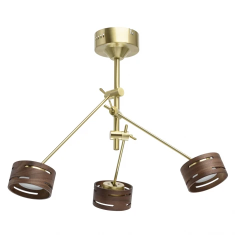 Потолочная люстра DeMarkt Чил-аут 725010203