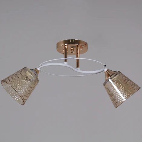 Потолочная люстра на штанге Reluce 06003-0.3-02 FG+WT (220V)