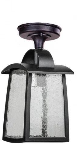 Потолочный светильник уличный Oasis Light FRANKFURT I 2736 05A Bl