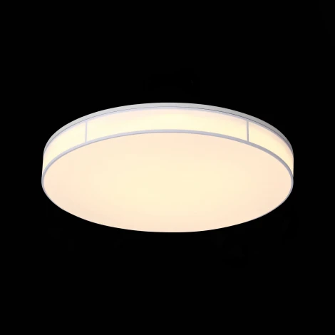 Потолочный светильник ST Luce Fella SL417.512.01