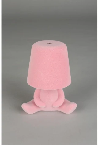 Настольная лампа светодиодная для детской с выключателем Aployt Olka APL.677.14.01 (для девочки)